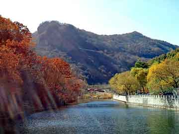 新澳门二四六天天开奖，汪鸿雁背景